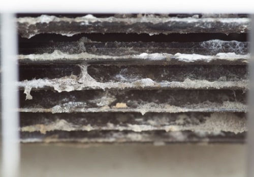 The Hidden Dangers of Mold in Your Air Ducts